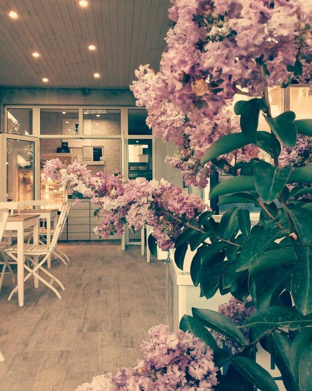 Hotel Dream House Zarewo Exterior foto